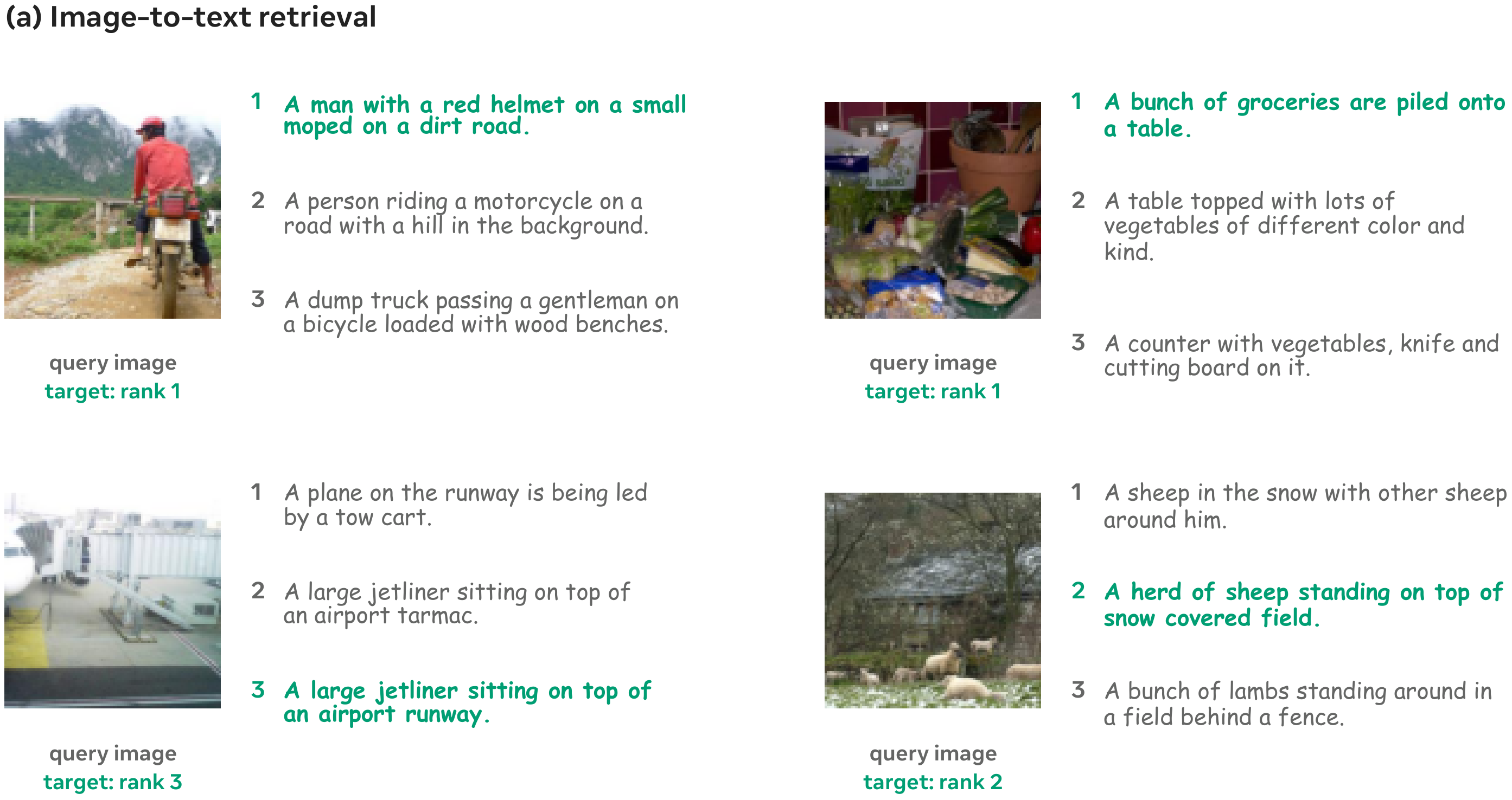 Image-to-text retrieval examples.