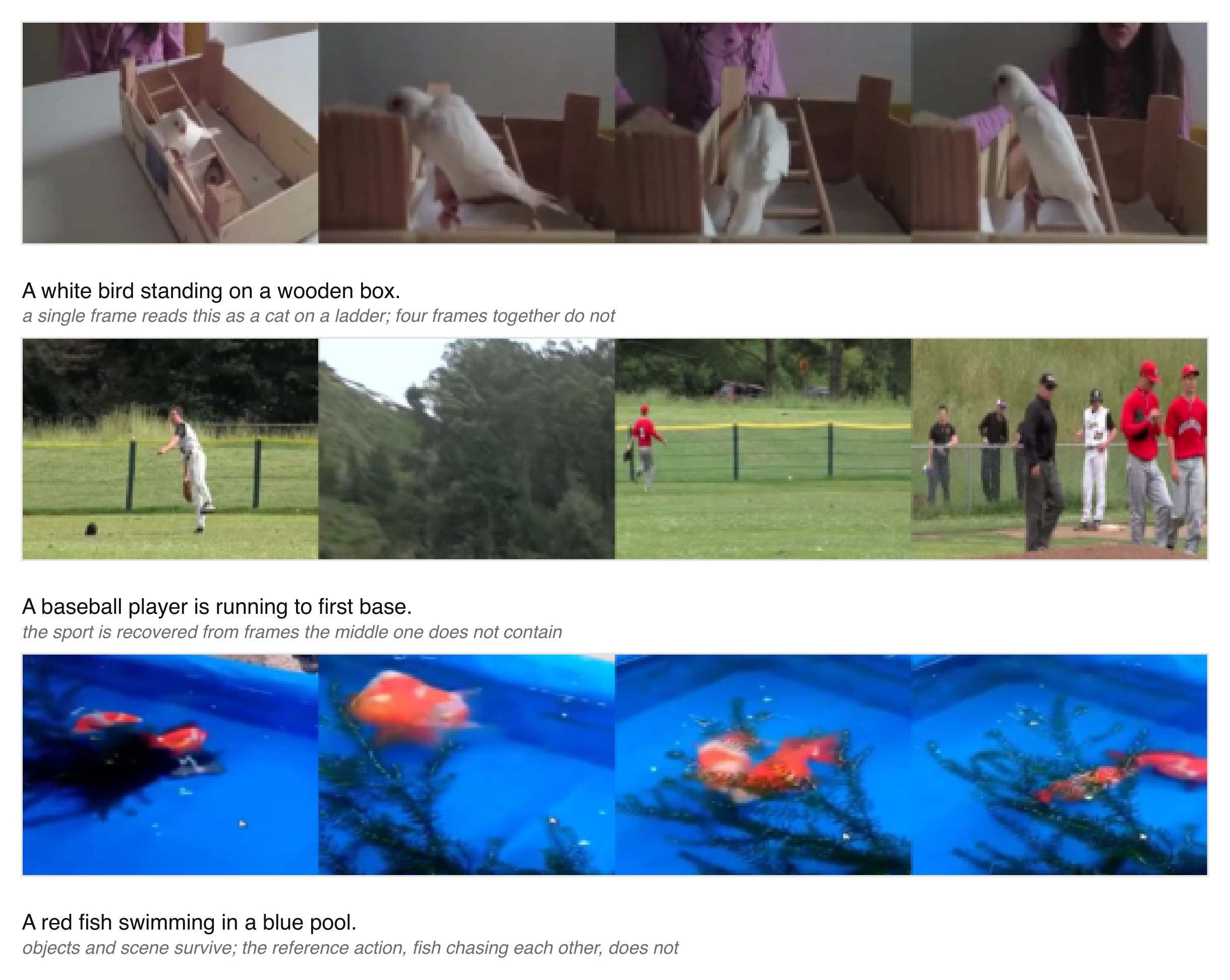Zero-shot captions produced from multiple frames of a video clip.